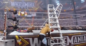 so many ladders