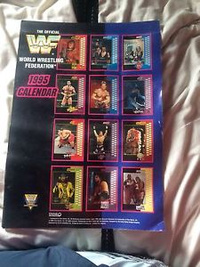 WWF 1995 Calendar Back