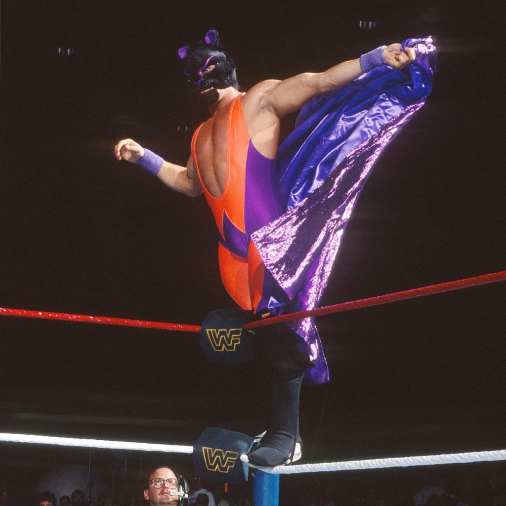 Worst WWF Gimmicks, Matches And Angles: WrestleCrap Inductions