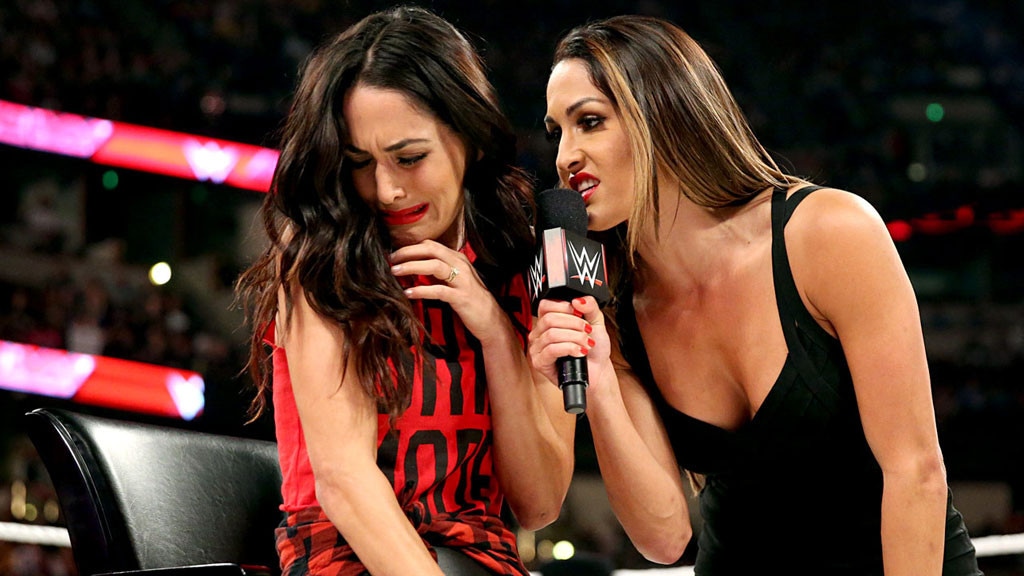 WWE Stars Nikki & Brie Bella Set to Tag-Team New Reality Show