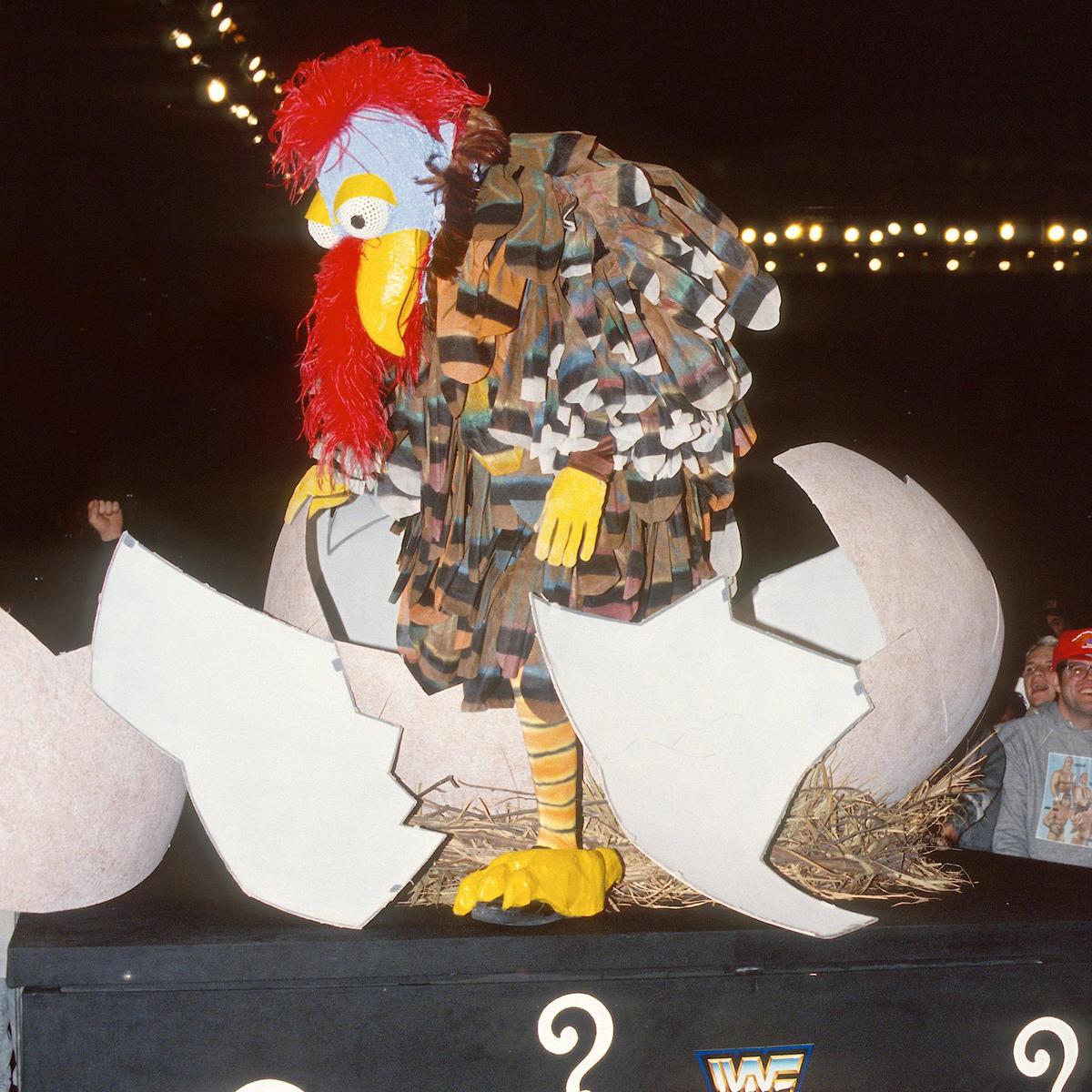 the-gobbledy-gooker-the-worst-of-wwf