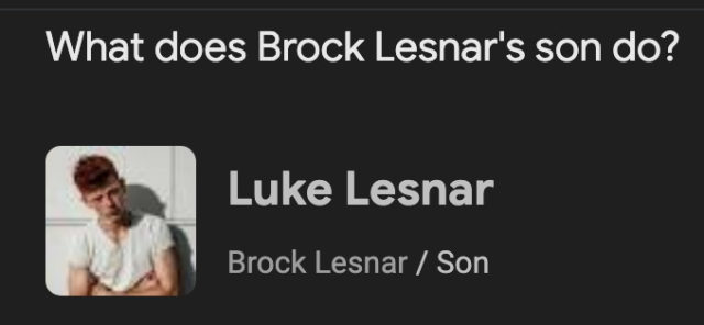 Brock Lesnar son