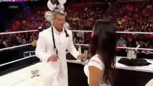Wwe Diva Aj Lee Porn - Dolph Ziggler And AJ Lee's New Year's Eve Toast | The Worst of WWE