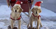 CLASSIC INDUCTION: Santa Buddies: You Wouldn’t Think Puppies Could Suck the Joy Out of Christmas